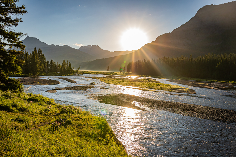 Top 5 Hidden Gems in Yellowstone National Park You Can’t Miss